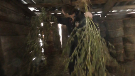 Свежие новости: У жителя смт Братське вилучено 1,5 кг наркотичної речовини