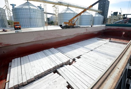 Свежие новости: 