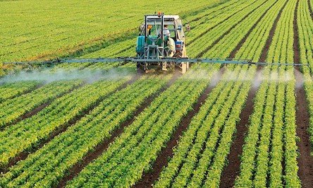 Свежие новости: Швейцария может запретить использование пестицидов