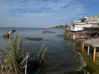 Свежие новости: Через вибух на Каховській ГЕС почало опріснюватися Чорне море - Держекоінспекція