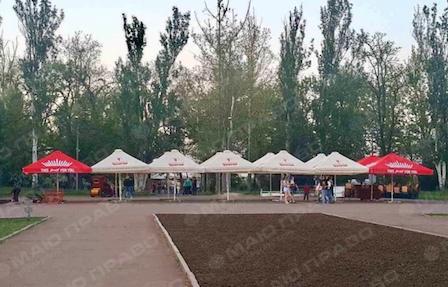 Свежие новости: 