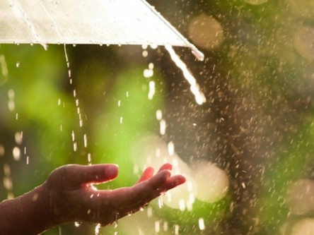 Свежие новости: Украину накроют грозовые  дожди