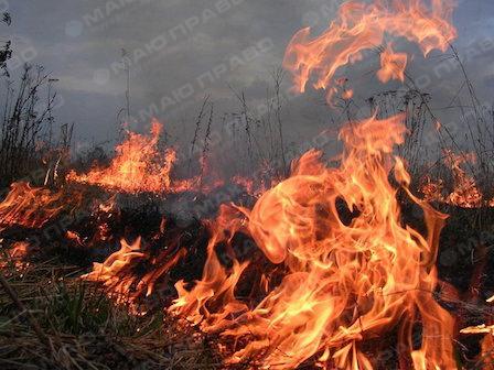 Свежие новости: На Николаевщине в очередной раз горела трава и мусор