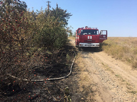 Фото новости: В Николаеве и области за сутки выгорело 30 гектаров сухой травы и кустарника Свежие новости: В Николаеве и области за сутки выгорело 30 гектаров сухой травы и кустарника