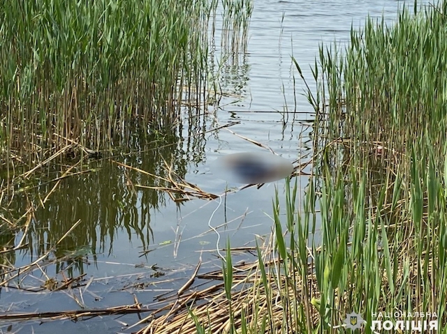 Свежие новости: Причиной смерти Олега Полякова, которого 4 дня разыскивали в Николаеве, стало утопление