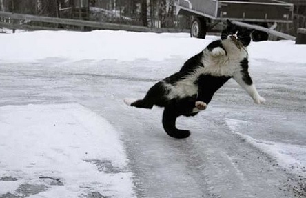 Свежие новости: В ГСЧС предупредили украинцев о гололеде