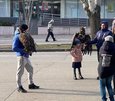 Свежие новости: В Николаеве среагировали на незаконный заработок на краснокнижных орлах