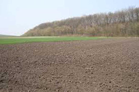 Свежие новости: В Снигирёвском районе председатель фермерского хозяйства незаконно пользовался землёй сельсовета