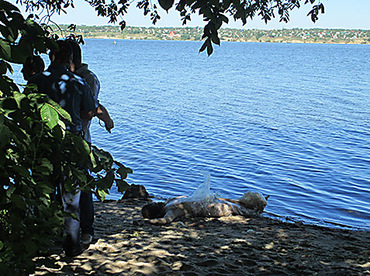 Свежие новости: В реках Николаева атакует кишечная палочка