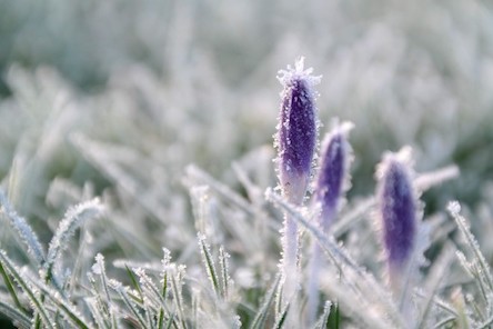 Фото новости: В Укриане ожидается похолодание Свежие новости: В Укриане ожидается похолодание
