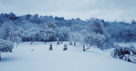 Свежие новости: Україну найближчими днями накриє мороз до –12°