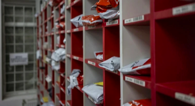 Свежие новости: 