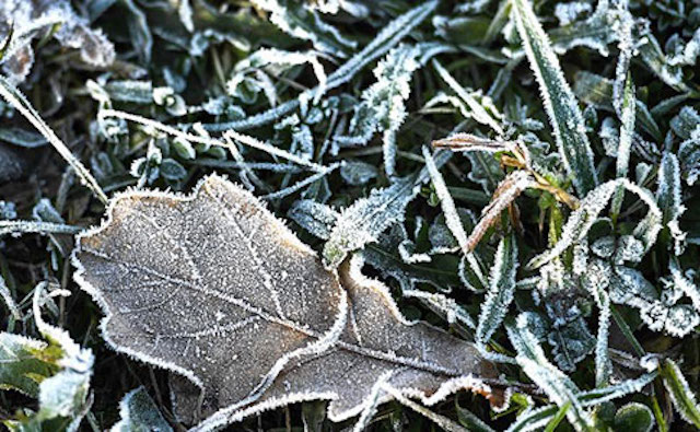 Свежие новости: Качели от минус 23 до плюс 1. Что будет с погодой на этой неделе