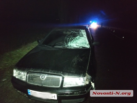 Свежие новости: ДТП на трассе «Николаев - Снигиревка»: водитель Škoda насмерть сбил пешехода