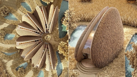 Свежие новости: В Коблево хотят построить необычный центр отдыха с домиками в виде ракушек