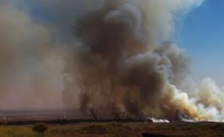 Свежие новости: На полигоне 