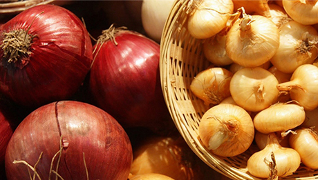 Свежие новости: С начала года Украина импортировала рекордный объем лука