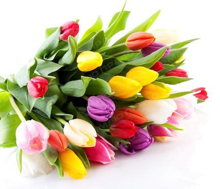 Свежие новости: Привітання міського голови з 8 березня