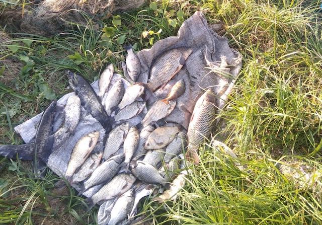 Свежие новости: В Вознесенском районе поймали браконьеров, наловивших рыбы на 10 тысяч гривен