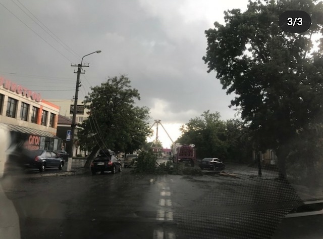 Фото новости: Из-за упавшего дерева центр Вознесенска остался без света Свежие новости: Из-за упавшего дерева центр Вознесенска остался без света