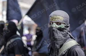 Свежие новости: Террористическая организация 