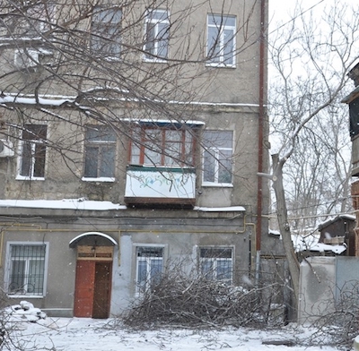 Свежие новости: В Николаеве неизвестные зимой «кронировали» деревья