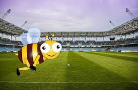 Свежие новости: ВИДЕО: В Танзании рой пчел сорвал футбольный матч: игрокам пришлось бежать с поля