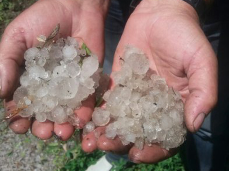 Свежие новости: Под Первомайском выпал град размером с голубиное яйцо