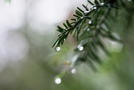 Свежие новости: Нынешний День святого Николая имеет шанс стать самым теплым за последние 30 лет