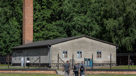 Свежие новости: В Германии выдвинуты обвинения против 95-летней бывшей секретарши коменданта концлагеря