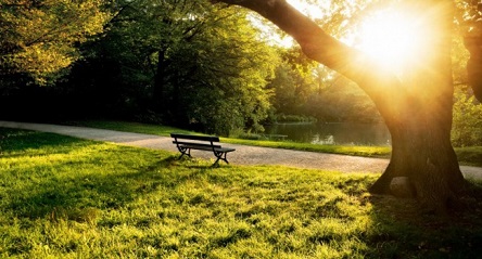 Свежие новости: Без осадков и до +28º: погода в Николаеве в четверг