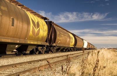 Свежие новости: Импорт и экспорт в Николаевской области