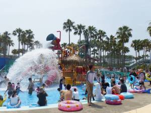 Свежие новости: Злоумышленник ранил ножом 8 молодых посетительниц аквапарка (Видео)