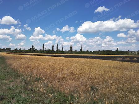 Свежие новости: В Новобугском районе произошел пожар