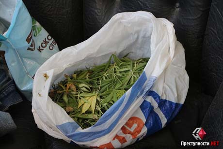 Свежие новости: На Николаевщине подросток с пакетом конопли попался полиции из-за распития пива на остановке