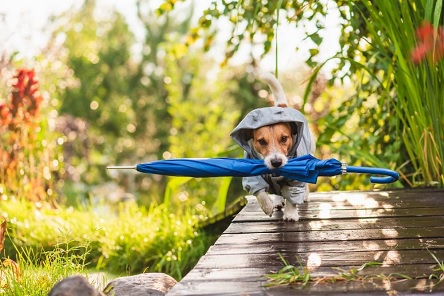 Свежие новости: Прогноз погоды на неделю 23-29 сентября