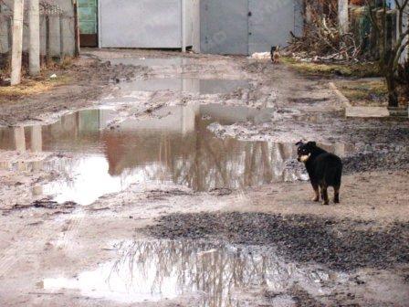 Свежие новости: Жители Очакова, чтобы не позорить имя великого литератора, просят переименовать 