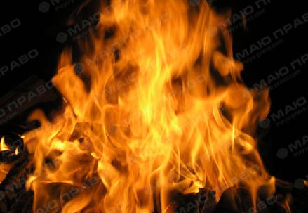 Свежие новости: На АЗС во Львовской области мужчина угрожал облить себя бензином и поджечь