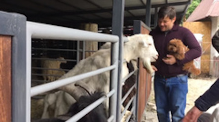 Свежие новости: «Козлина ты дурная!»: Экс-глава ОП Богдан посетил столичный зоопарк и несколько раз ударил по уху животное