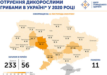 Свежие новости: Николаевская область попадает в пятерку областей по отравлению грибами