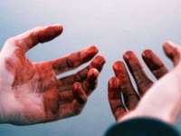 Свежие новости: 