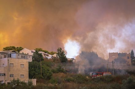 Свежие новости: В Израиле вспыхнул масштабный лесной пожар