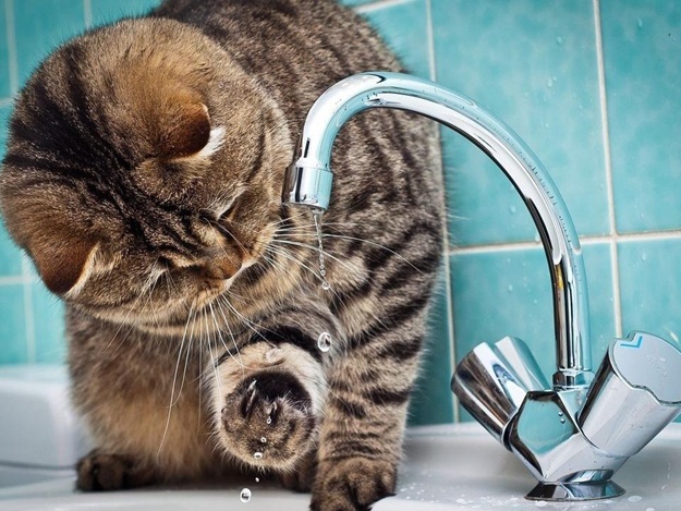 Свежие новости: В Первомайске из-за порывов сети тысячи людей остались без воды