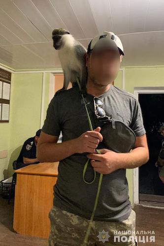 Свежие новости: Полицейские проводят расследование по фактам жестокого обращения с животными в Коблево