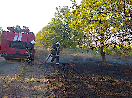 Свежие новости: Минулої доби вогнеборцями Миколаївщини ліквідовано 8 пожеж сухостою