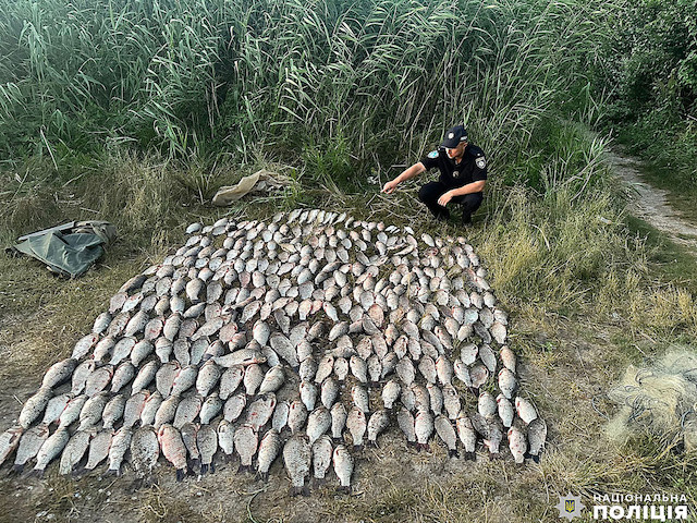 Свежие новости: У Миколаєві поліцейські затримали браконьєрів, які виловили риби на понад пів мільйона гривень