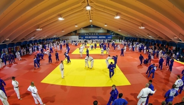 Свежие новости: Українські дзюдоїсти в Австрії готуються престижних стартів сезону