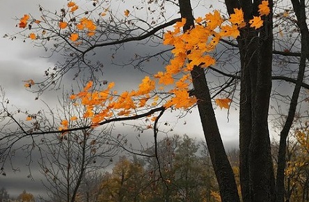 Свежие новости: В пятницу в Николаеве будет ветрено и до +13º