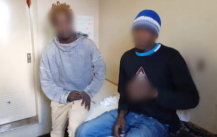 Свежие новости: В порту НГЗ пограничники выявили на судне из Гвинеи нелегальных мигрантов