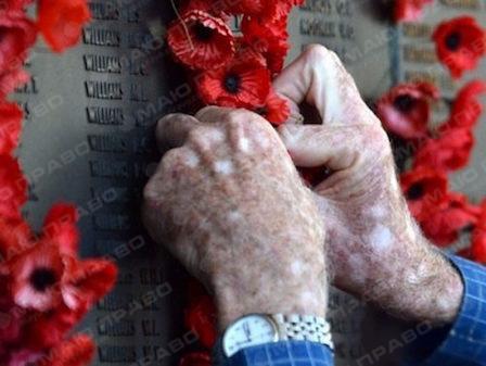 Свежие новости: План святкових заходів у Снігурівці до Дня Перемоги